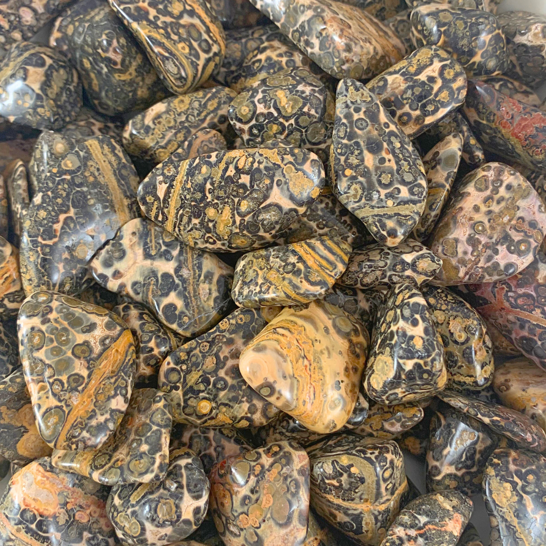 Jasper, Yellow Leopardskin Rounded Free Form Tumbled Stones