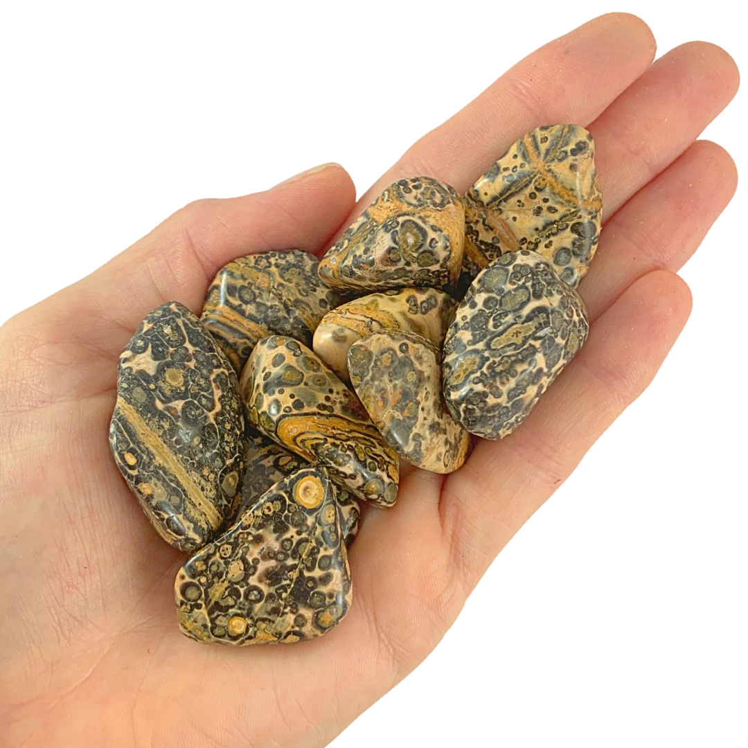 Jasper, Yellow Leopardskin Rounded Free Form Tumbled Stones