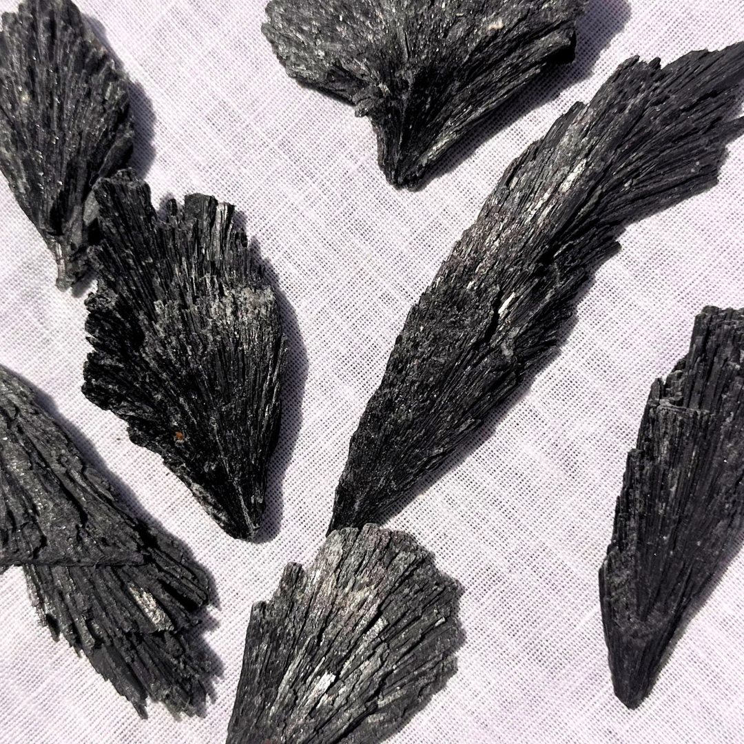 Black Kyanite Rough