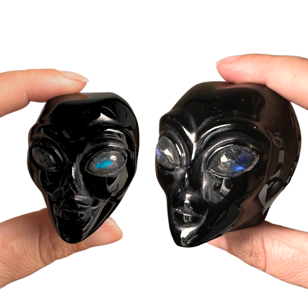 Obsidian, Black ET Skulls - with Labradorite eyes