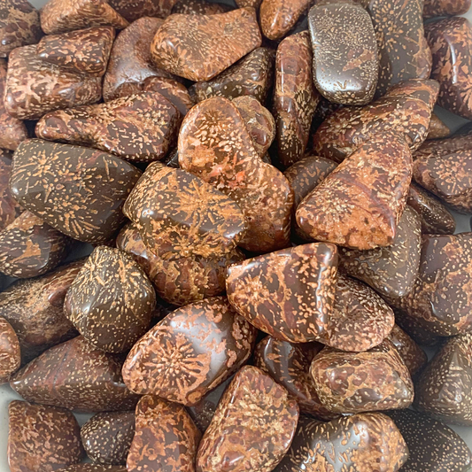 Jasper, Star Tumbled Stones - Rounded Free Form