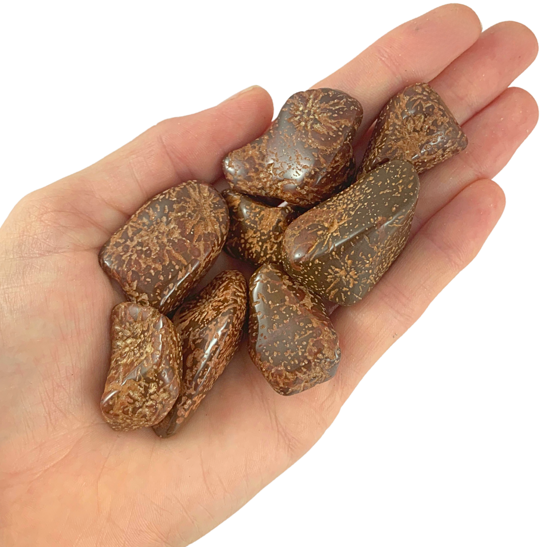 Jasper, Star Tumbled Stones - Rounded Free Form
