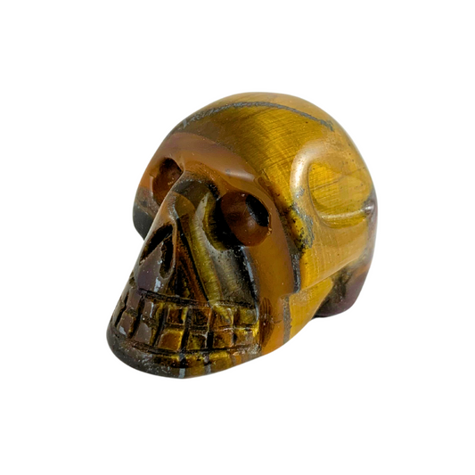 Tiger Eye, Gold Skulls
