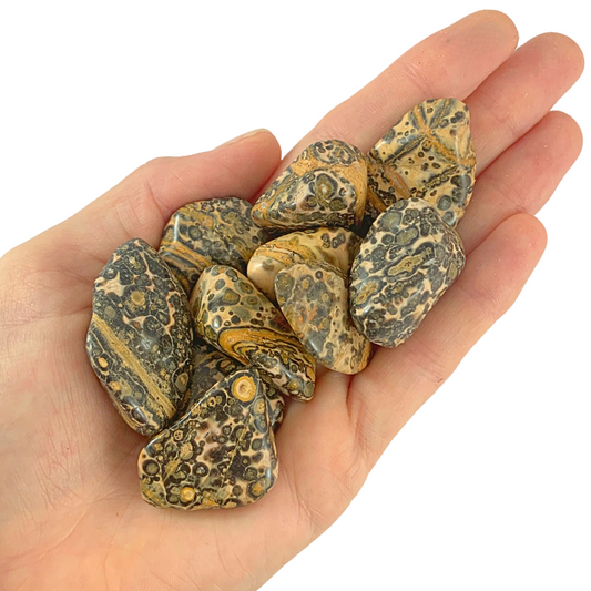 Jasper, Yellow Leopardskin Tumbled Stones - Rounded Free Form