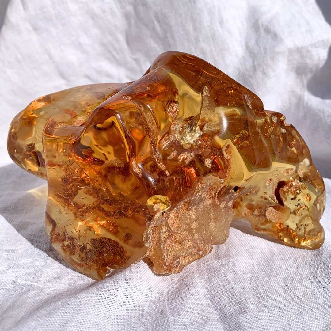Amber with Insects - Giant