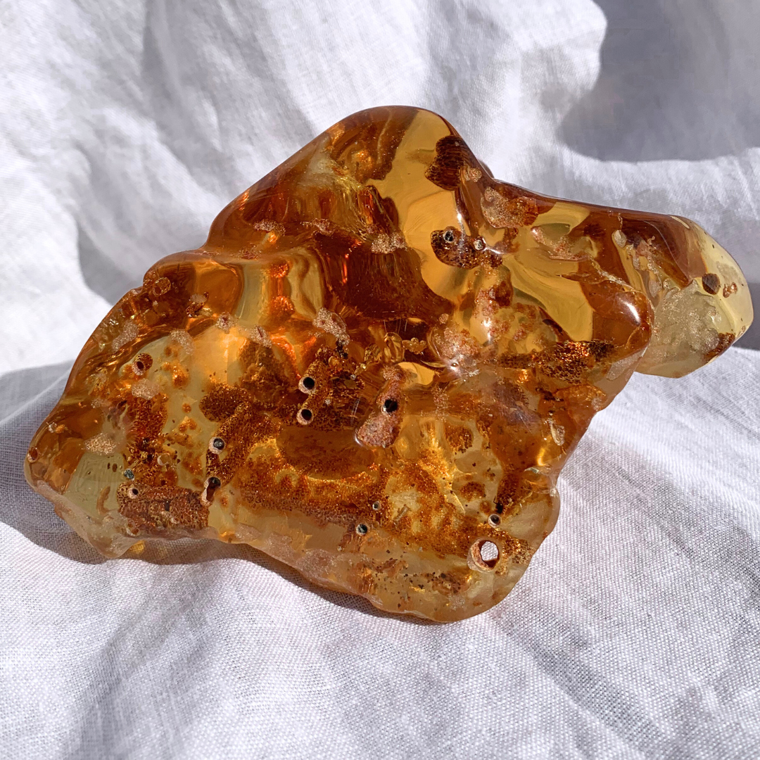 Amber with Insects - Giant