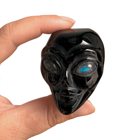 Black Obsidian ET Skulls With Labradorite Eyes