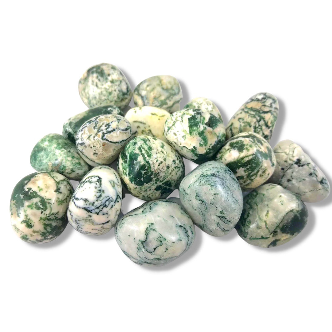 Timbled Tree Agate, Tree Tumbled Stones – Cosmic Crystals