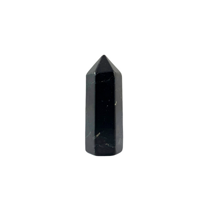 Shungite Generator - Small